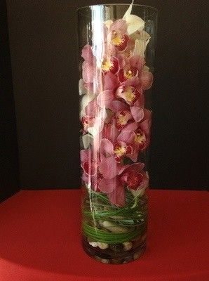 Cymbidium Orchids in a Tall Cylinder