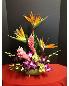 Tropical Flowers of Ginger