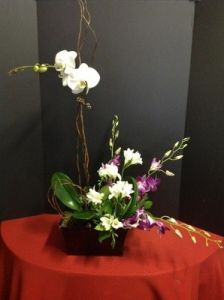 Orchid Flowers with Orchid Plant